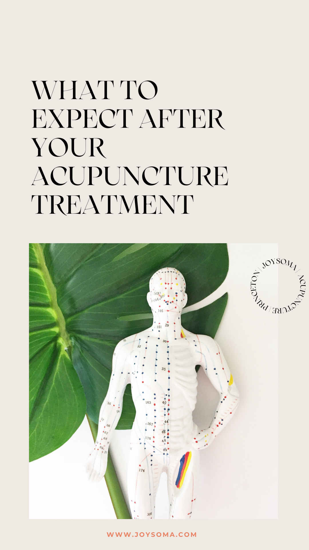 JOYSOMA Acupuncture | Princeton, NJ